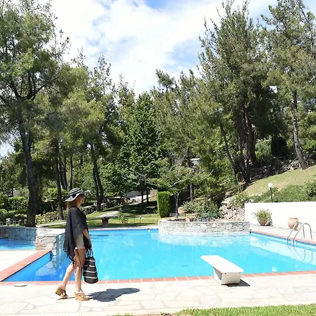 Peekaboo Shared Pool